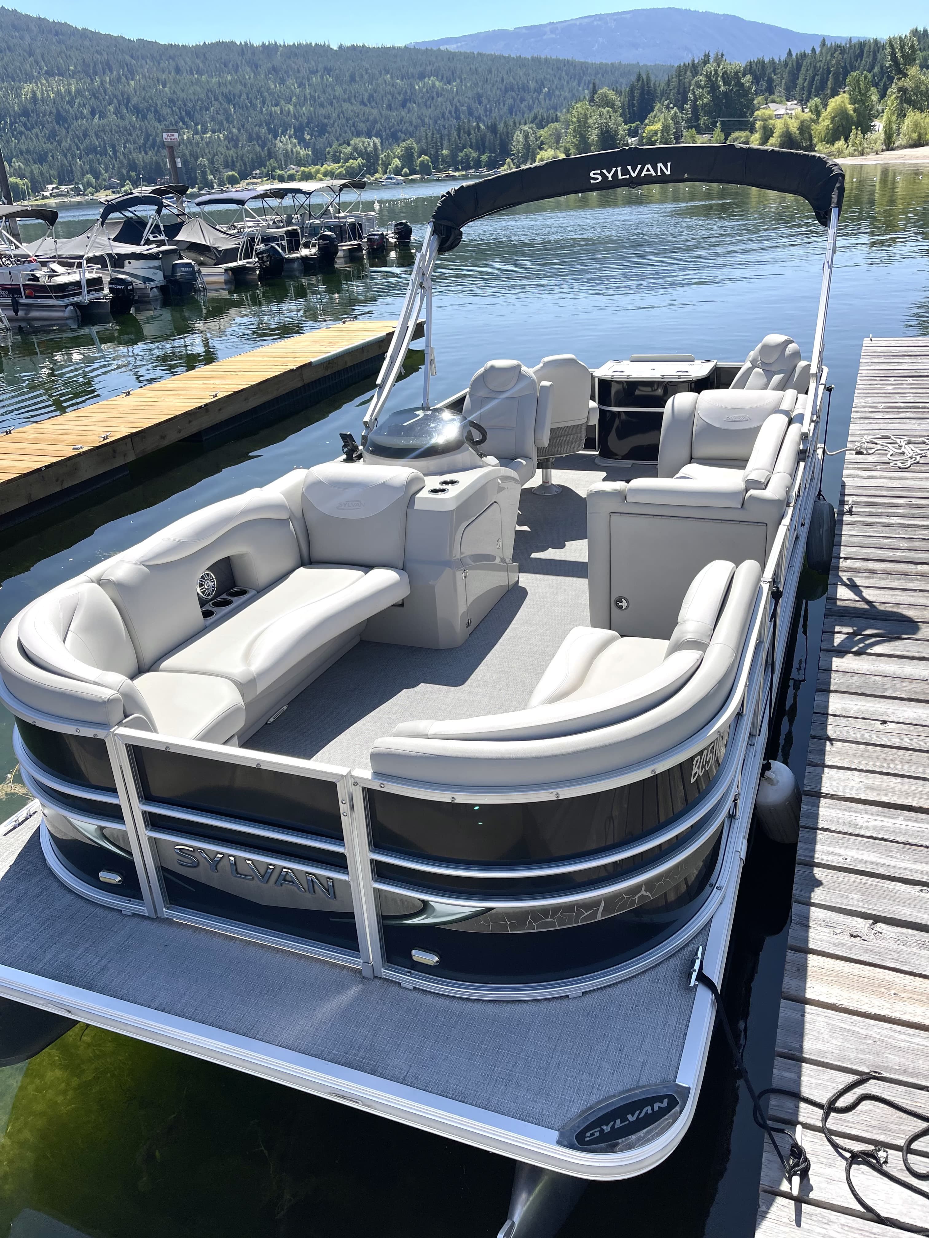 Boat Rental - Luxury Godfrey Aqua Patio Pontoon Boat